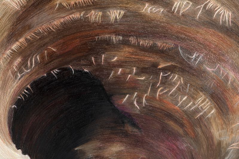 hole, jillian mcdonald