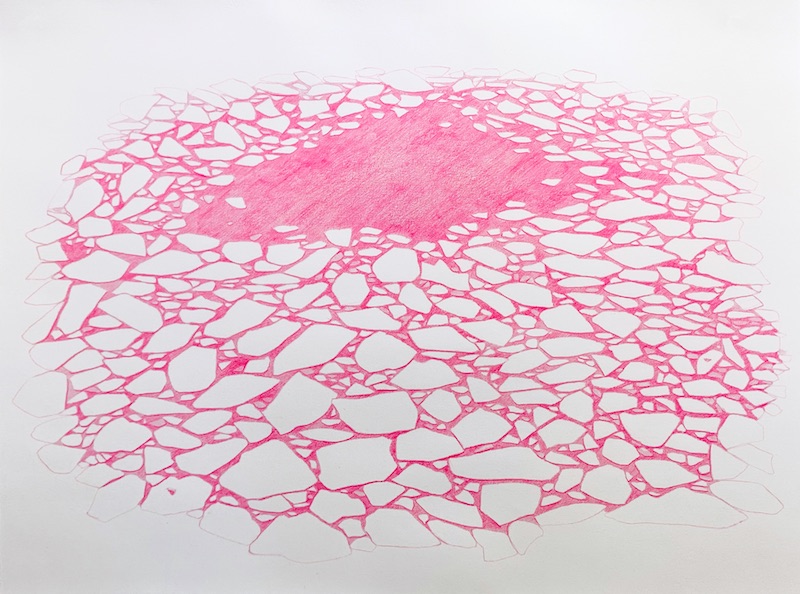 ice, jillian mcdonald