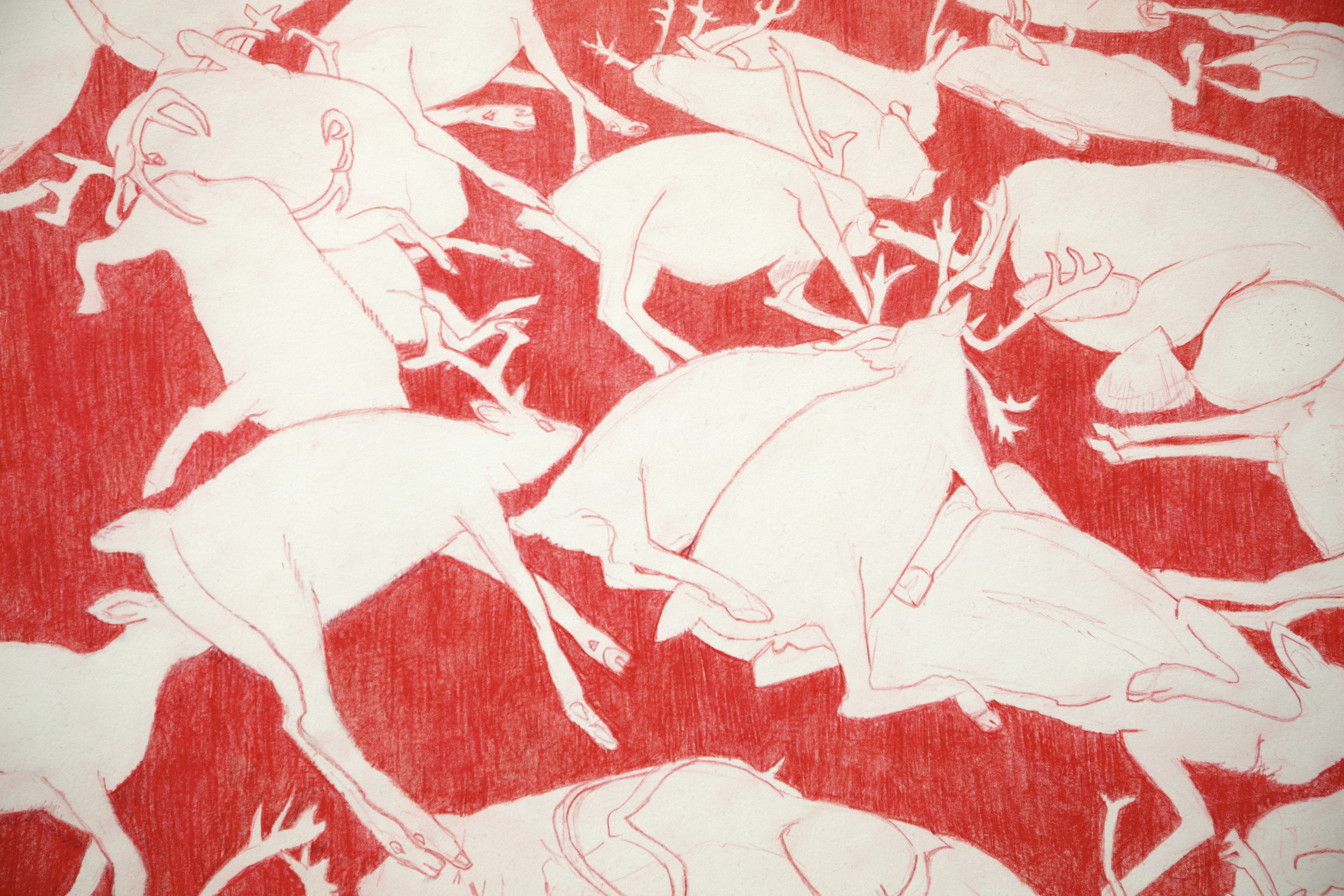 reindeer, jillian mcdonald