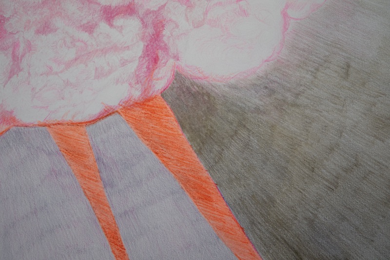 ice, jillian mcdonald